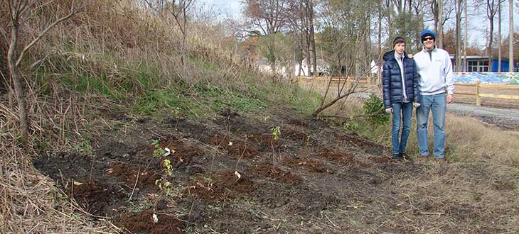 Jim Lang planting native elderberry bushes at Paradise Creek Nature Park