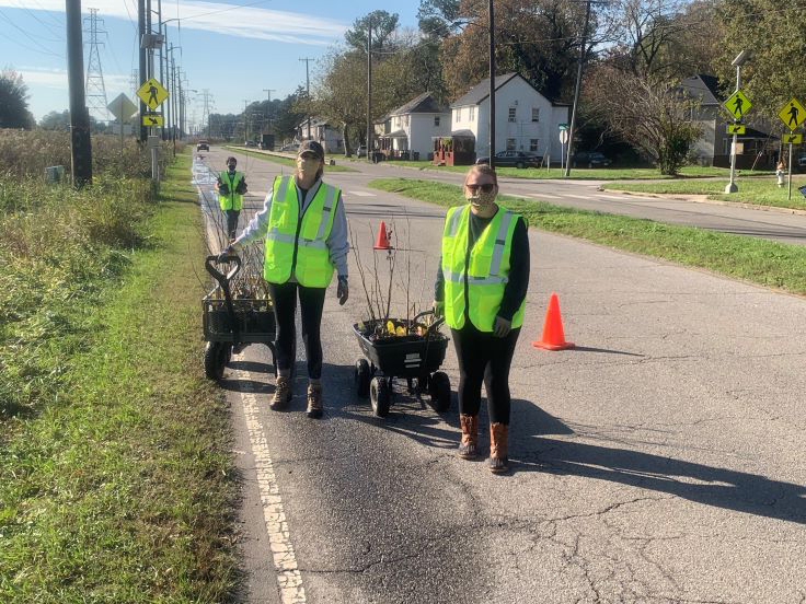 Waterfront Law Team moving plants in the Paradise Creek bioswale