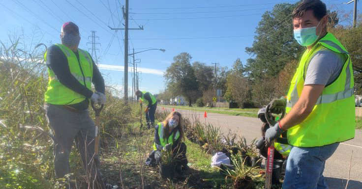 Waterfront Law Team planting native species at Paradise Creek Nature Park